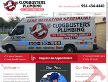 Tablet Screenshot of clogbusters.com